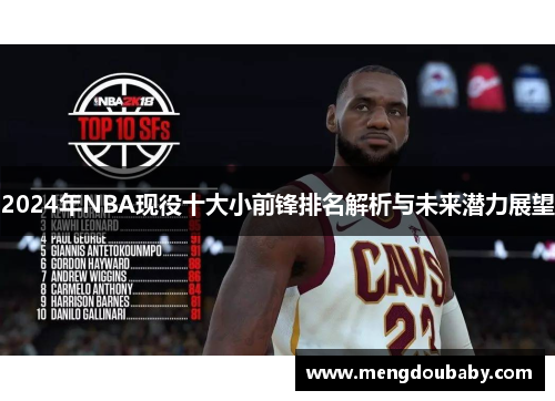 2024年NBA现役十大小前锋排名解析与未来潜力展望