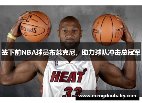 签下前NBA球员布莱克尼，助力球队冲击总冠军